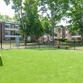 Coliving in Allston - Boston, Boston