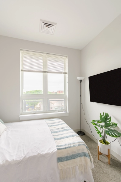 Coliving in Brighton - Boston, Boston