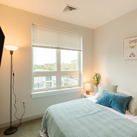 Coliving in Brighton - Boston, Boston