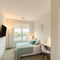Coliving in Brighton - Boston, Boston