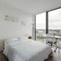 Coliving in Eckington - NE DC, Washington DC