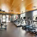 Coliving in Inner Belt - Somerville, Boston