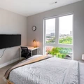 Coliving in Inner Belt - Somerville, Boston