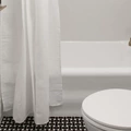 Coliving in Brookline - Metro Area, Boston