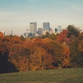 Coliving in Brookline - Metro Area, Boston