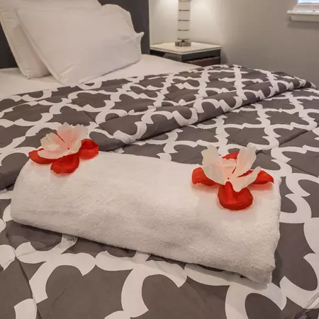 Coliving in Las Vegas - Las Vegas, Las Vegas