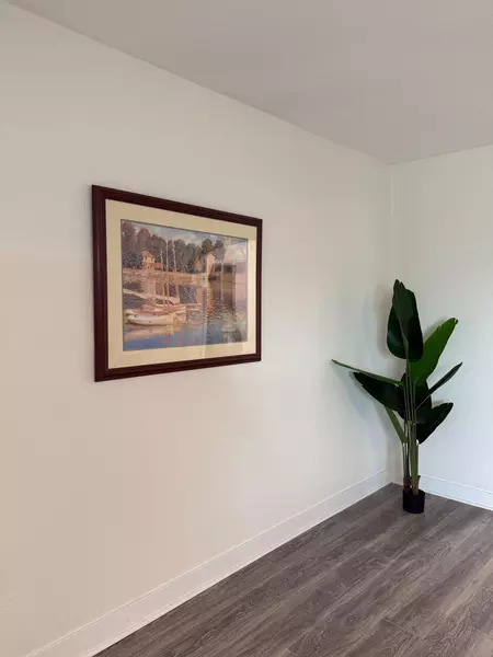 Coliving in Coliseum Willow Park - East SATX, San Antonio