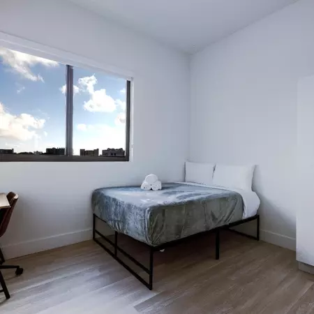 Coliving in Downtown Miami - Miami, Miami