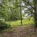 Coliving in Peyton Forest - West Atl, Atlanta