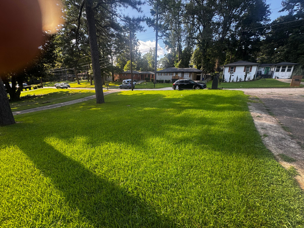 Coliving in Avondale Estates - East Atl, Atlanta