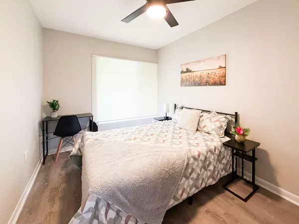 Coliving in Clearwater - Clearwater-St. Petersburg, Tampa