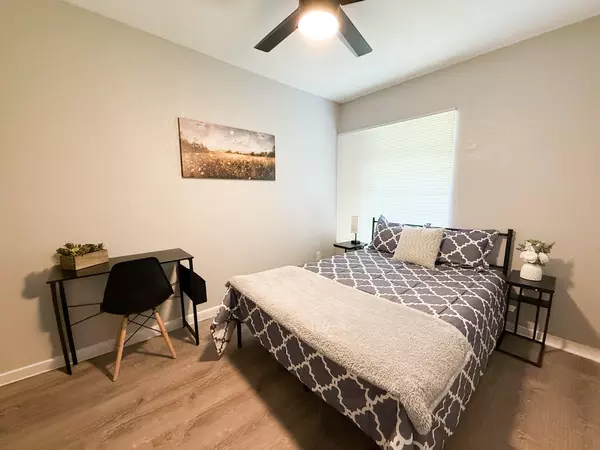Coliving in Clearwater - Clearwater-St. Petersburg, Tampa
