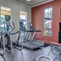 Coliving in Winter Garden - West Orlando, Orlando