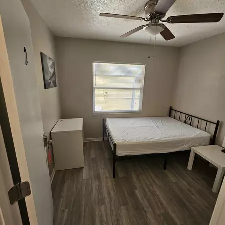 Coliving in Sulphur Springs - North Tampa, Tampa