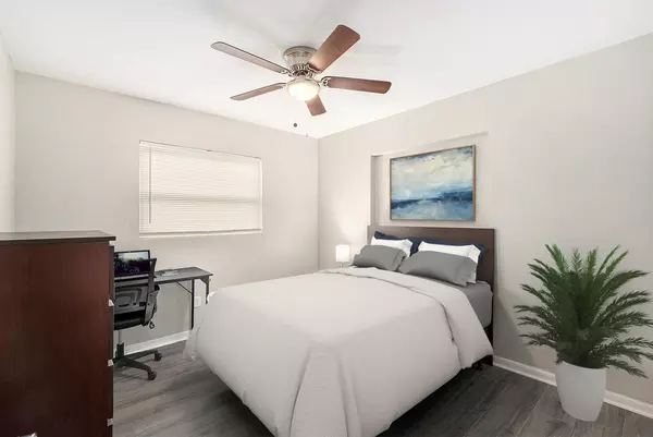 Coliving in Clearwater - Clearwater-St. Petersburg, Tampa