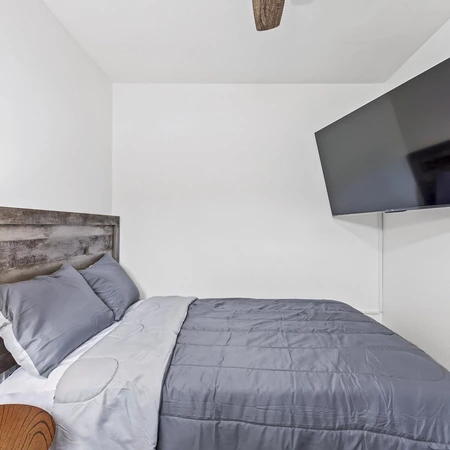 Coliving in Hyde Park Tampa - Central Tampa, Tampa