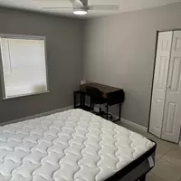 Coliving in Clearwater - Clearwater-St. Petersburg, Tampa
