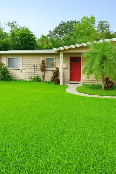 Coliving in Town 'n' Country - West Tampa, Tampa