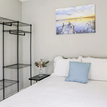 Coliving in Lowry Park North - North Tampa, Tampa