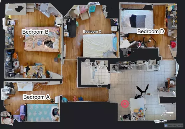 Coliving in Mid Cambridge - Cambridge, Boston