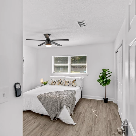 Coliving in Live Oaks Square - East Tampa, Tampa
