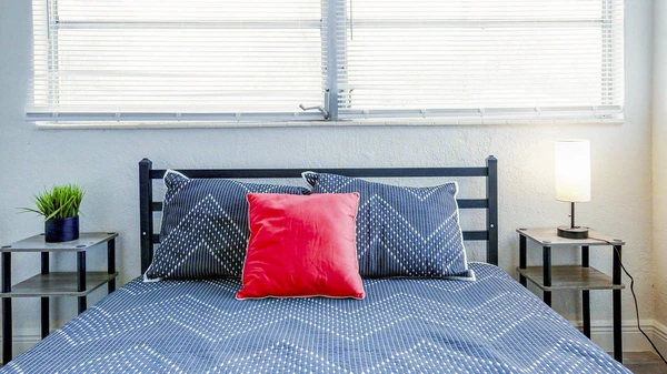 Coliving in Forest Hills Tampa - North Tampa, Tampa