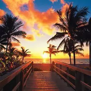 Coliving in Hollywood Fl - Broward County, Miami