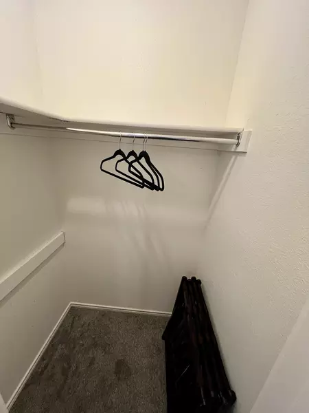 Coliving in North Central - North SATX, San Antonio