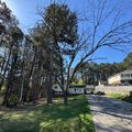 Coliving in Woodcroft - Durham, Raleigh