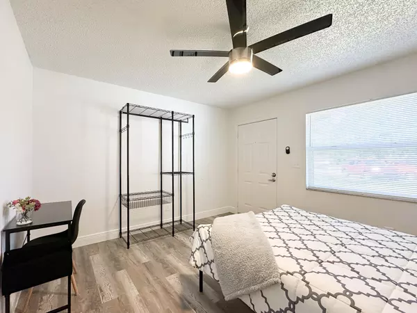 Coliving in Clearwater - Clearwater-St. Petersburg, Tampa