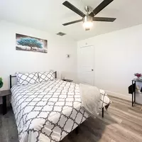 Coliving in Clearwater - Clearwater-St. Petersburg, Tampa