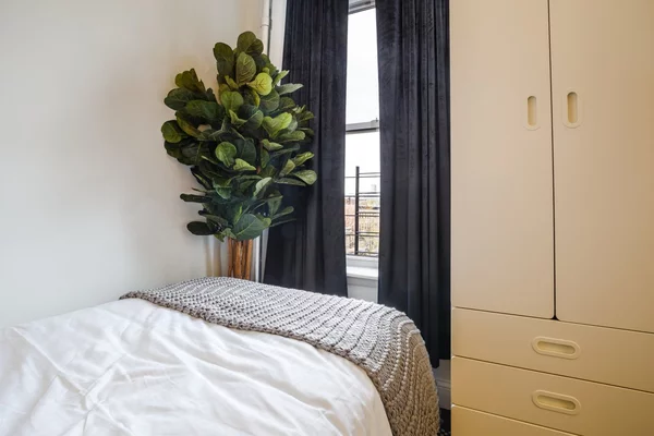 Coliving in Prospect Heights - Brooklyn, New York