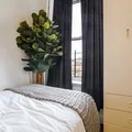 Coliving in Prospect Heights - Brooklyn, New York