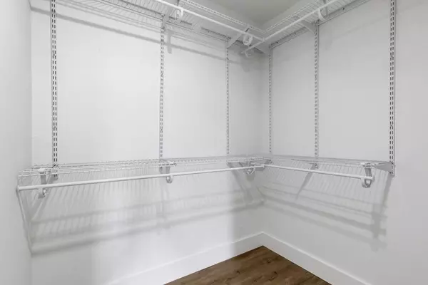 Coliving in Sarasota - Sarasota, Sarasota