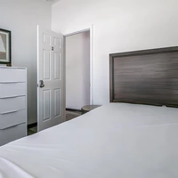 Coliving in Land O' Lakes - North Tampa, Tampa