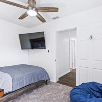 Coliving in Hyde Park Tampa - Central Tampa, Tampa