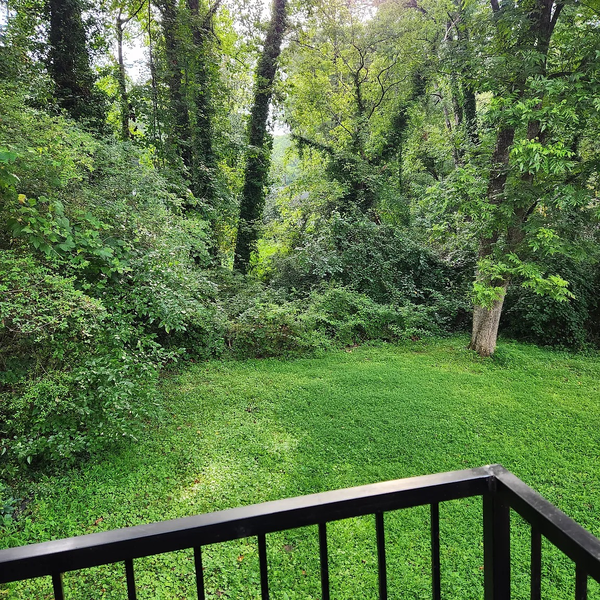 Coliving in Center Hill - West Atl, Atlanta
