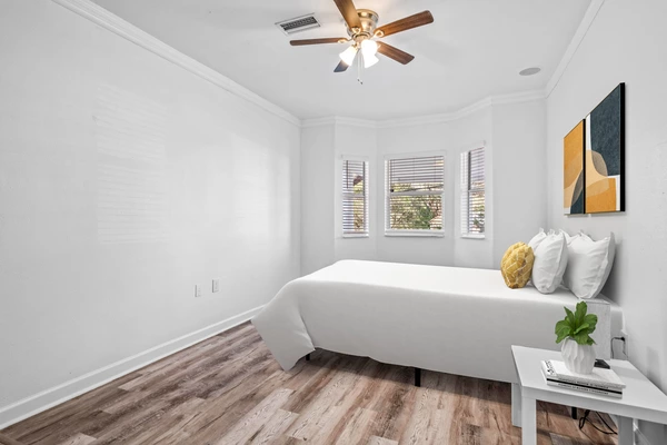 Coliving in Live Oaks Square - East Tampa, Tampa