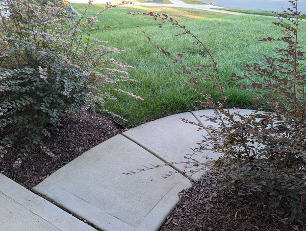 Coliving in Marlwood - East Charlotte, Charlotte