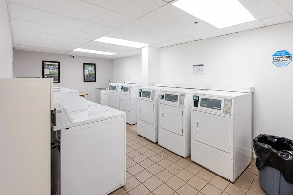 1 bedroom apartment for rent in Sandy Hill - Central Ottawa, Ottawa