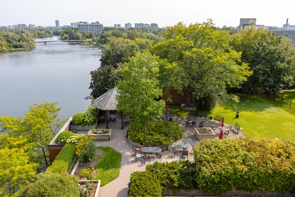 1 bedroom apartment for rent in Sandy Hill - Central Ottawa, Ottawa