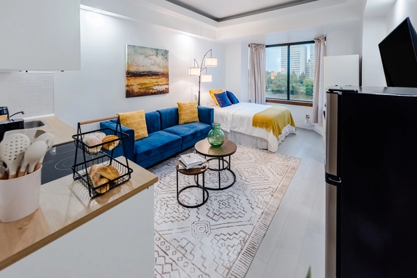 1 bedroom apartment for rent in Sandy Hill - Central Ottawa, Ottawa