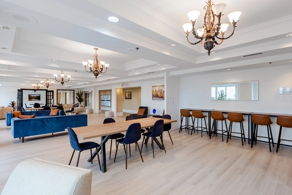 1 bedroom apartment for rent in Sandy Hill - Central Ottawa, Ottawa