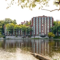 1 bedroom apartment for rent in Sandy Hill - Central Ottawa, Ottawa
