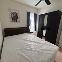 Coliving in Plano - North Dfw, Dallas
