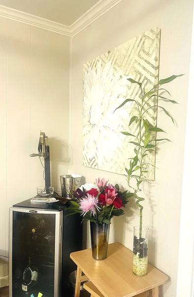 Coliving in Allandale - North Central Austin, Austin