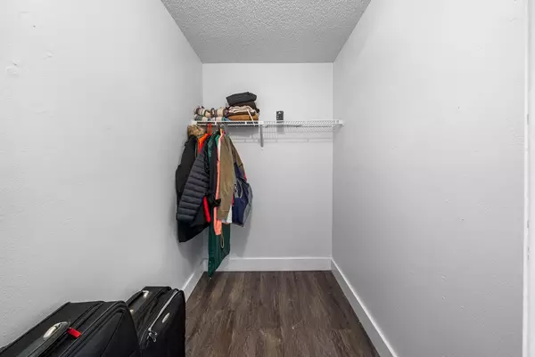 Coliving in Downtown St. Petersburg - Clearwater-St. Petersburg, Tampa