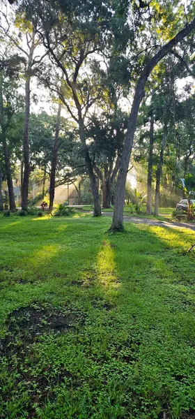 Coliving in Town 'n' Country - West Tampa, Tampa
