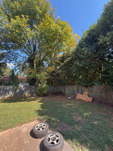 Coliving in Belmont NC - West Charlotte, Charlotte