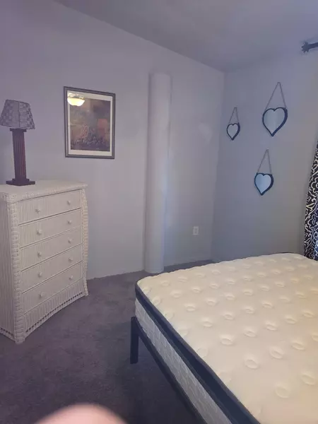 Coliving in Clearwater - Clearwater-St. Petersburg, Tampa